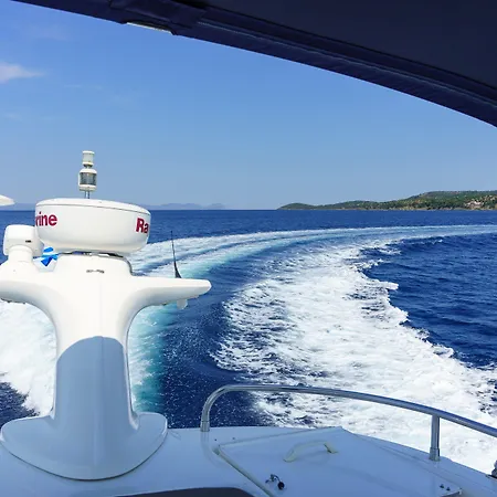 Cronwell 플라타모나스