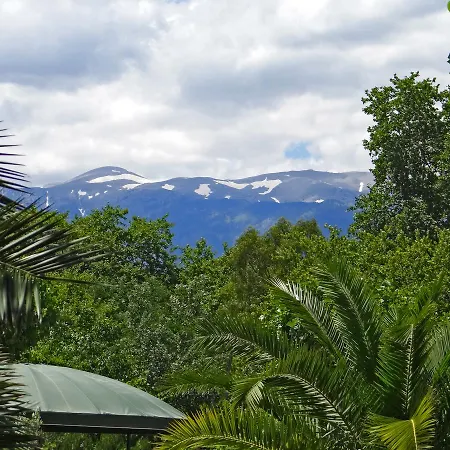 Cronwell 5* פלטמונס