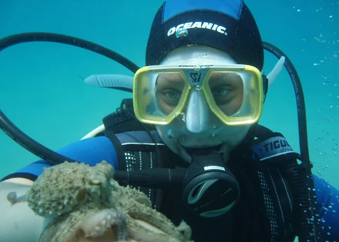 Cronwell Üdülőközpont